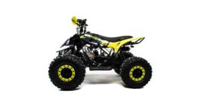 Квадроцикл детский MotoLand (Мотолэнд) VOX125 RAPTOR A (машинокомплект)