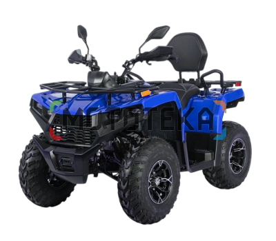 Квадрицикл Bizon (Бизон) YK250 LUX EFI синий с ПСМ