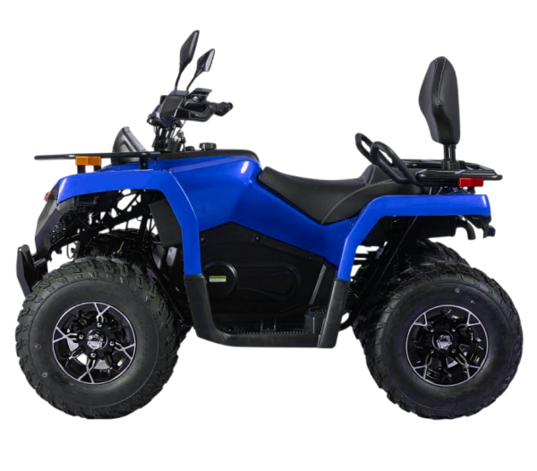 Квадрицикл Bizon (Бизон) YK250 LUX EFI синий с ПСМ | Мототека